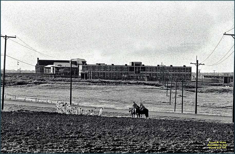 Hoe Squad Working Near Wynne Unit